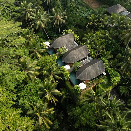 Abisena Wellness & Resort Ubud-Adult Only Exterior foto