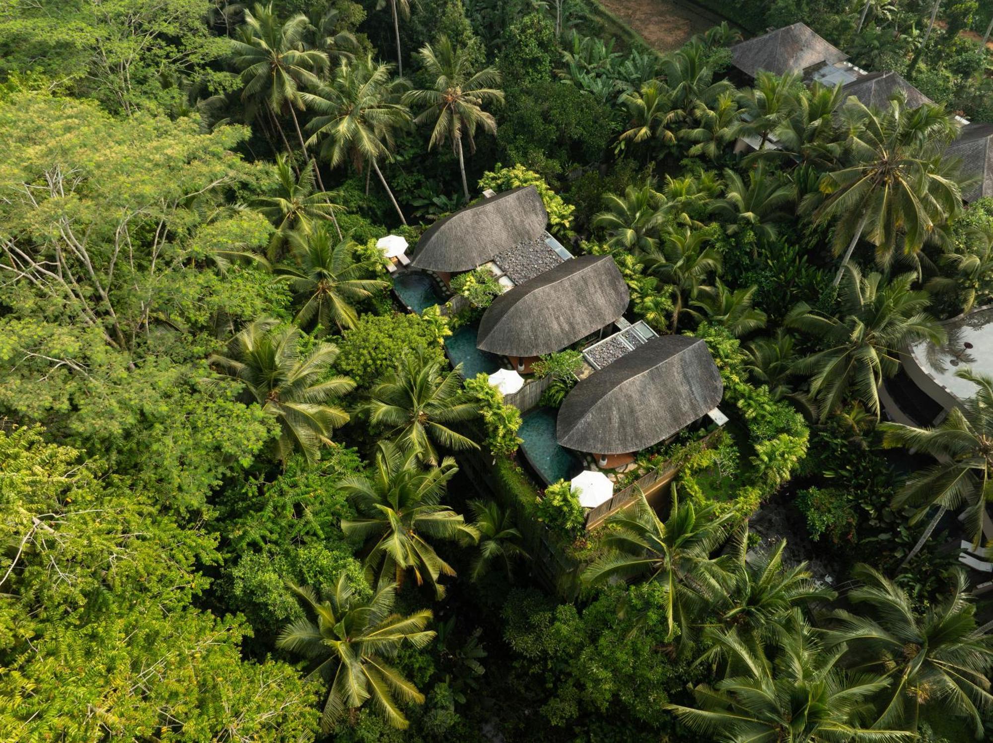 Abisena Wellness & Resort Ubud-Adult Only Exterior foto